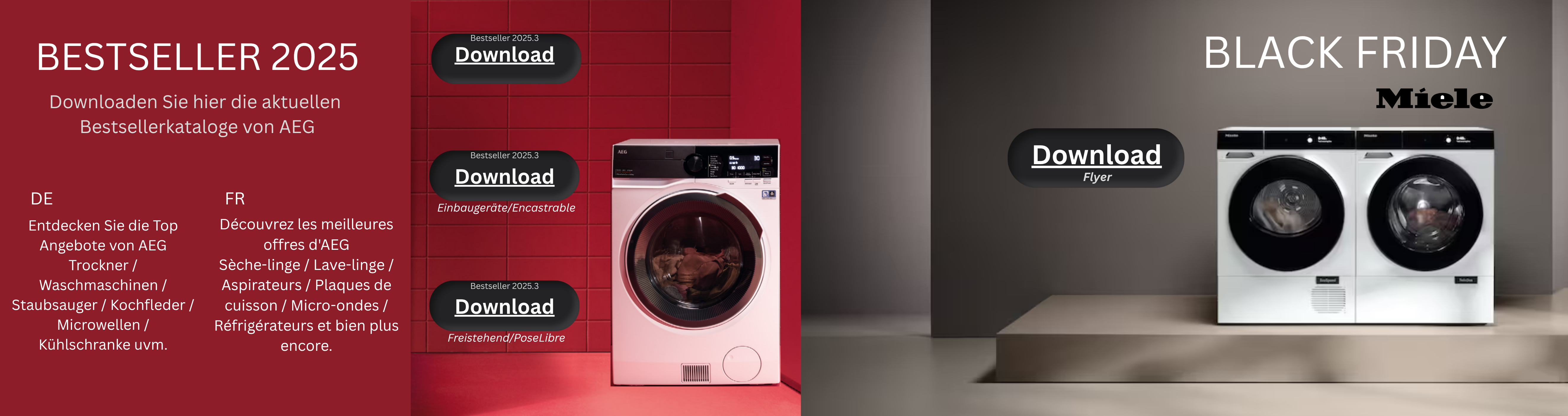 Bestsellerkatalog 2025 AEG