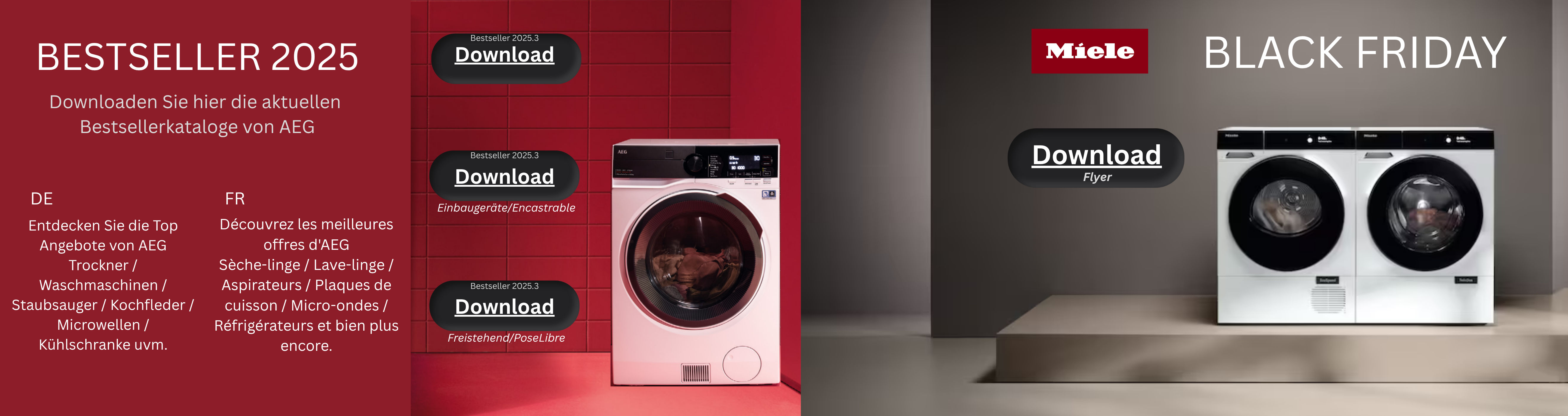 Bestsellerkatalog 2025 AEG