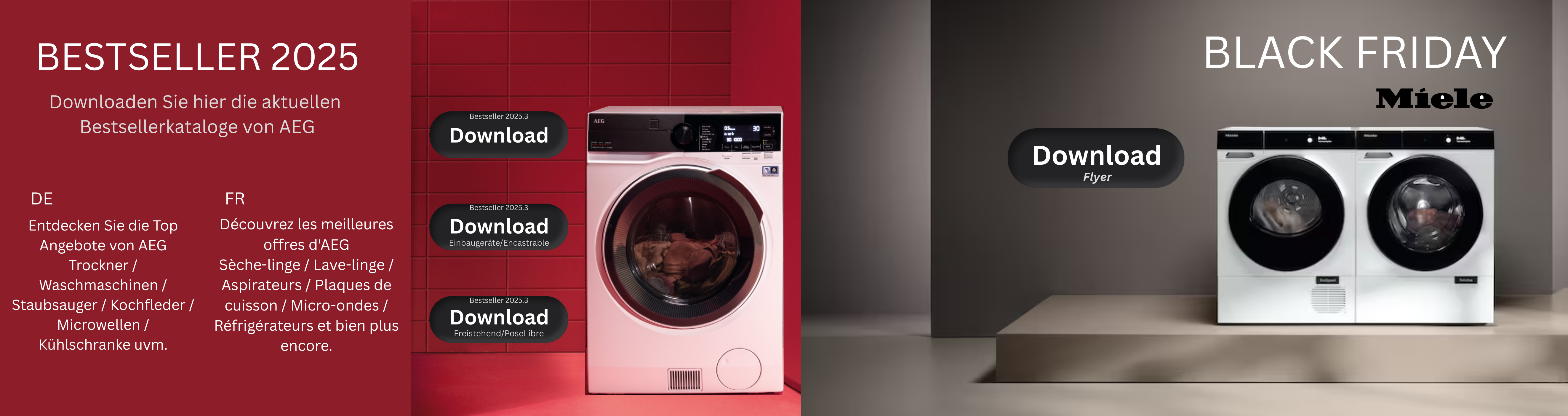Bestsellerkatalog 2025 AEG