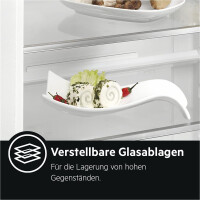 AEG RDB424E1AX freistehender Kühlschrank mit Gefrierfac