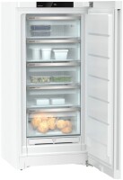 Liebherr FNC 6625-22 Gefrierschrank Plus NoFrost 5