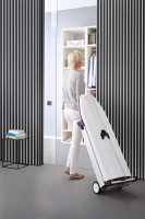 Miele FashionMaster B4847 Dampfbügelsystem Brombeerrot 