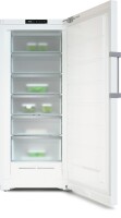 Miele FN 4748 C WS Stand-Gefrierschrank NoFrost 312L Wei&szl