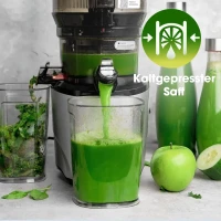 Kuvings AUTO10S KHS-2591CE Slow Juicer 3L Matte Light Silver