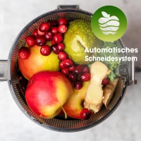 Kuvings AUTO10S KHS-2591CE Slow Juicer 3L Matte Light Silver