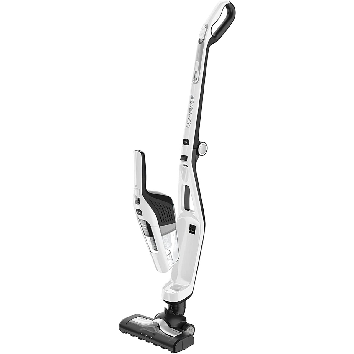 Rowenta RH6737 Akku Staubsauger